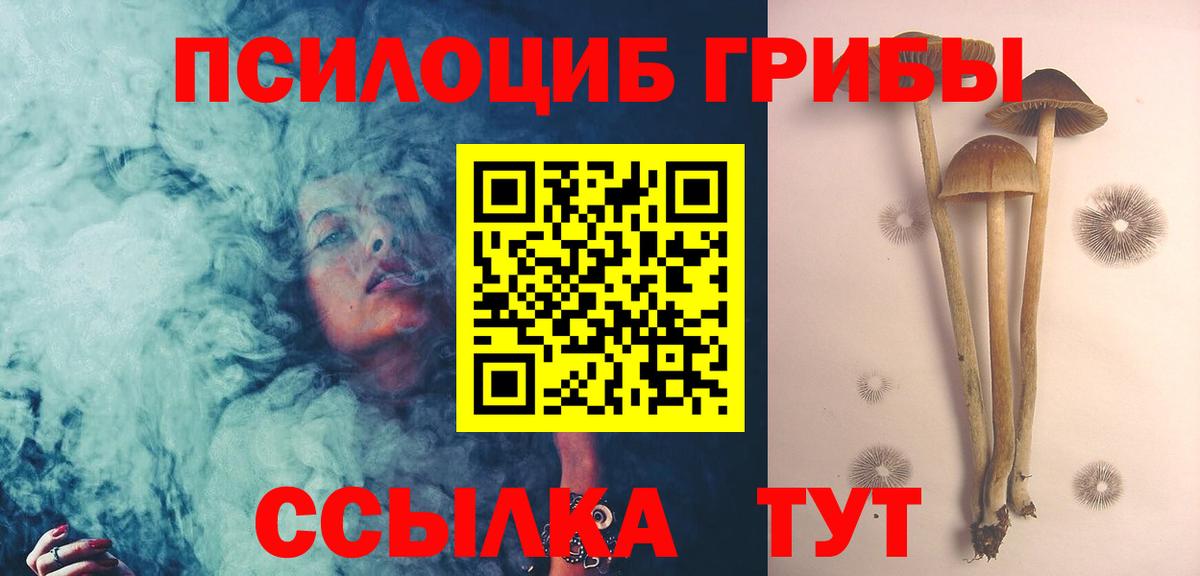 Псилоцибиновые грибы Cubensis Нурлат